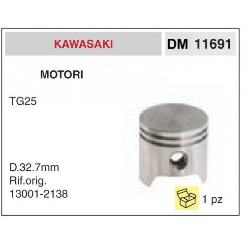 Pistone e Segmenti Motori Kawasaki TG25
