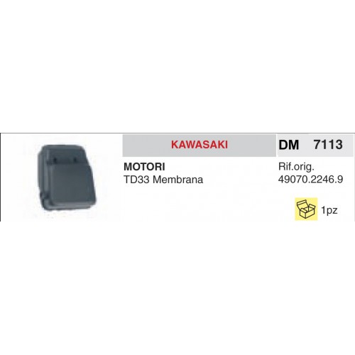 Marmitta Motori Kawasaki TD33 Membrana