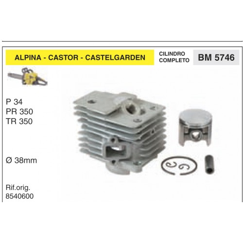 Cilindri Completi Pistoni e Segmenti ALPINA CASTOR CASTELGARDEN P 34 PR 350 TR