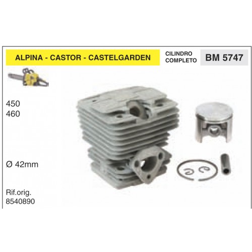 Cilindri Completi Pistoni e Segmenti ALPINA CASTOR CASTELGARDEN 450 460